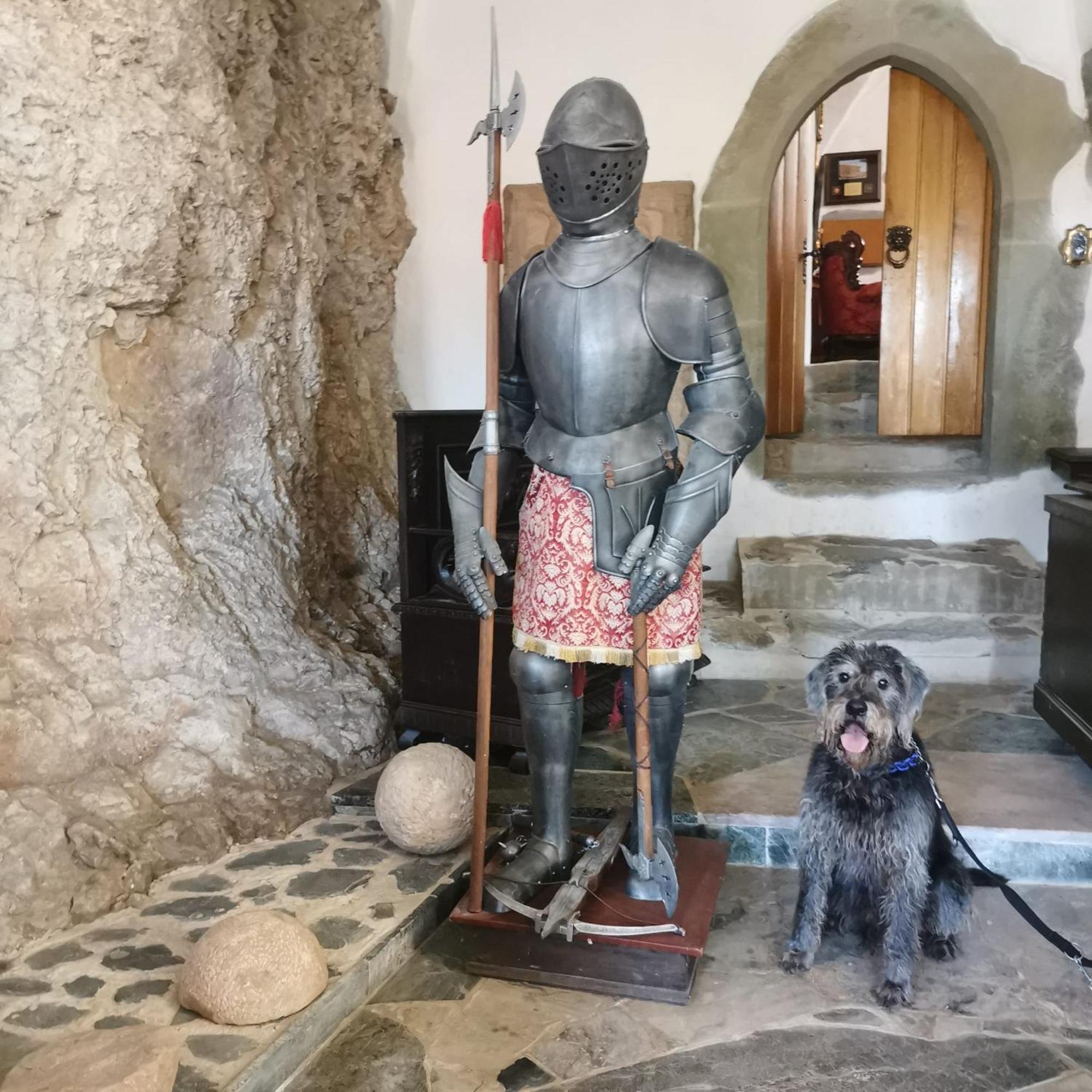 Burg Hermannstein - Kings Room Βέτσλαρ Εξωτερικό φωτογραφία